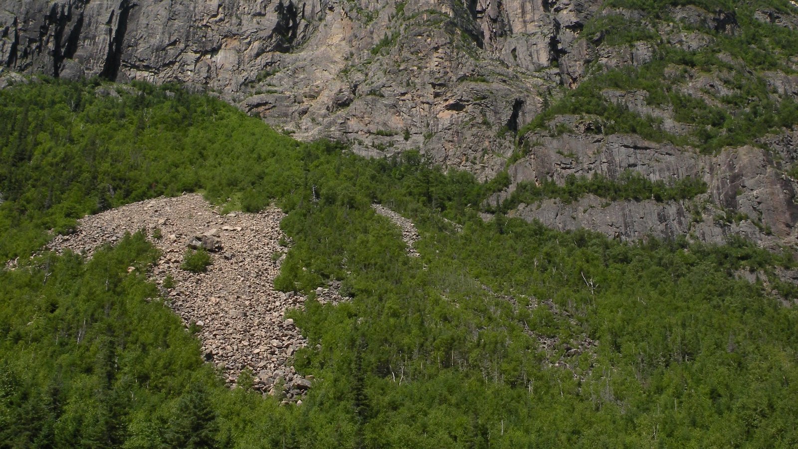 Rock climbers on the steep cliff walls of Hautes-Gorges-de-la-Rivière-Malbaie National Park